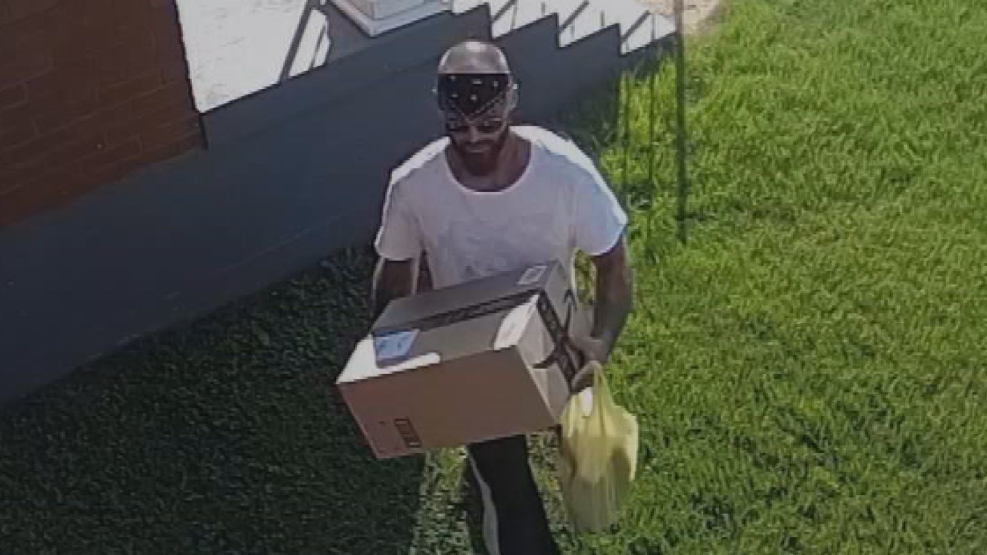 PORCH BANDIT 9.jpg